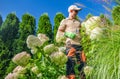 Caucasian Garden Taker Performing Seasonal Maintenance