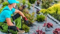 Caucasian Gardener and His Newly Built Backyard Garden