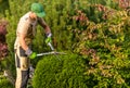 Caucasian Gardener Trimming Garden Plants Royalty Free Stock Photo
