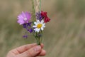 Young caucasian girl holding in her hand a small bouquet of flowers collected in a field on a meadow Royalty Free Stock Photo