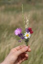 Young caucasian girl holding in her hand a small bouquet of flowers collected in a field on a meadow Royalty Free Stock Photo