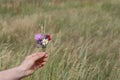 Young caucasian girl holding in her hand a small bouquet of flowers collected in a field on a meadow Royalty Free Stock Photo