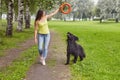Woman is training black briard with help of toy outdoor.