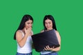 Caucasian happy business twins on a green background with a laptop computer. Success and remote work. Blogging. Royalty Free Stock Photo