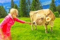 Woman with cow Royalty Free Stock Photo