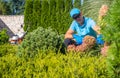 Caucasian Homeowner Performing His Garden Maintenance Royalty Free Stock Photo