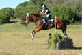 Horse and rider jumping Royalty Free Stock Photo