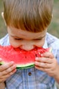 Caucasian little boy eats a slice of watermelon Royalty Free Stock Photo