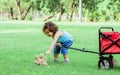 Caucasian little cute curly hair girl wearing blue shirt dragging or pushing red cart and pick up doll while playing in outdoor