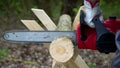 Lumberjack in gloves saws firewood on sawhorses with a electric saw in forest