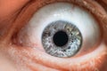 Caucasian male grey blue eye close up super macro Royalty Free Stock Photo