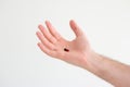 Caucasian male hand holding a medical black and red capsule pill in his palm. Close up studio shot, isolated on white background Royalty Free Stock Photo