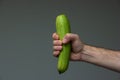 Caucasian male hand holding a phallic piece of fresh green ripe zucchini close up shot isolated on gray