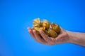 Caucasian male hand holding a pile of ripe physalis fruits. Close up studio shot, on blue background
