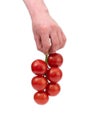 Caucasian male holding a vine full of fresh ripe red cherry tomatoes. Close up studio shot, isolated on white background