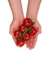 Caucasian male holding a vine full of fresh ripe red cherry tomatoes. Close up studio shot, isolated on white background