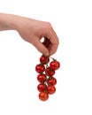 Caucasian male holding a vine full of fresh ripe red cherry tomatoes. Close up studio shot, isolated on white background