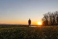 Caucasian man from back stand on meadow and looking to pond at sunset. Czech landscape