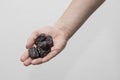 Caucasian man holds a handful of fresh raw dates