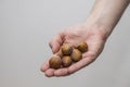 Caucasian man holds a handful of hazelnuts