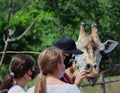 Caucasian Man with a Mask Feeding Giraffe in Czech Zoological Garden