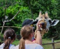 Caucasian Man with a Mask Feeding Giraffe in Prague Zoo
