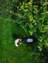 Caucasian man pushing lawn mower for cutting green grass in garden with sunlight at summer season. Aerial view. Housework and Royalty Free Stock Photo