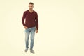 A Caucasian man wearing pullover, banner. a caucasian man in his 40s at studio background. good looking caucasian man Royalty Free Stock Photo