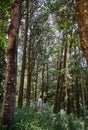 Caucasian men walking and exploring a trek trail in a forest