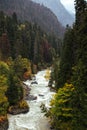 Caucasian nature in Dombay ski resort, beautiful autumn landscape, mountains covered with a forest of fir trees and stream of