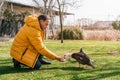 Caucasian old man feeding a duck on the grass of a lake Royalty Free Stock Photo