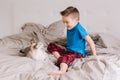 Caucasian preschooler boy sitting on bed in bedroom at home and petting stroking oriental point-colored cat. Child with domestic Royalty Free Stock Photo