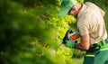 Caucasian Professional Garden Worker in His 40s Shaping Green Shrub Wall Royalty Free Stock Photo