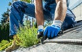 Gardener Building Trickle Irrigation System Royalty Free Stock Photo