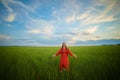 Caucasian red-haired woman in a red dress walking on a farm field with wheat at sunset on a summer day.future organic Royalty Free Stock Photo