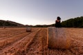 Caucasian 30s brunette woman, sitting on a hay bale during Golden hour