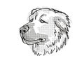 Caucasian Shepherd Dog Dog Breed Cartoon Retro Drawing