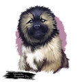 Caucasian shepherd dog breed digital art illustration