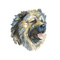 Caucasian Shepherd Dog - hand-painted watercolor dog