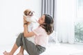 Caucasian teenage girl playing with shih tzu puppy dog at home. Young woman sitting on floor, smiling, having fun Royalty Free Stock Photo