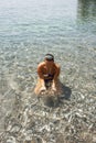 A beautiful girl bathing in amazing limpid seawater at the beach. Diving.