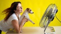 Caucasian woman and dog are cooled by an electric fan. A girl with her pet Jack Russell Terrier freshens up Royalty Free Stock Photo