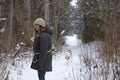 Caucasian woman with her Alaskan malamute playing in the snow Royalty Free Stock Photo