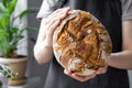 caucasian woman holding fresh bread from the oven, baking homemade bread Royalty Free Stock Photo