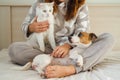 Caucasian woman holding a white fluffy cat and Jack Russell Terrier dog while sitting on the bed. The red-haired girl Royalty Free Stock Photo