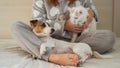 Caucasian woman holding a white fluffy cat and Jack Russell Terrier dog while sitting on the bed. The red-haired girl Royalty Free Stock Photo