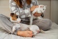 Caucasian woman holding a white fluffy cat and Jack Russell Terrier dog while sitting on the bed. The red-haired girl Royalty Free Stock Photo