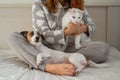 Caucasian woman holding a white fluffy cat and Jack Russell Terrier dog while sitting on the bed. The red-haired girl Royalty Free Stock Photo