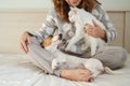 Caucasian woman holding a white fluffy cat and Jack Russell Terrier dog while sitting on the bed. The red-haired girl Royalty Free Stock Photo