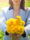 A woman holds out a yellow bouquet of wild flowers. Lady with a bouquet of dandelions. Blurred background. Royalty Free Stock Photo